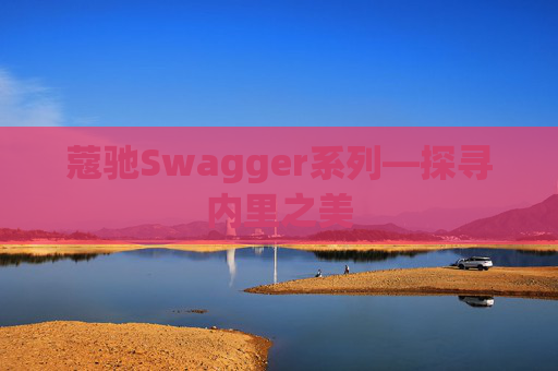 蔻驰Swagger系列—探寻内里之美 蔻驰Swagger系列—探寻内里之美